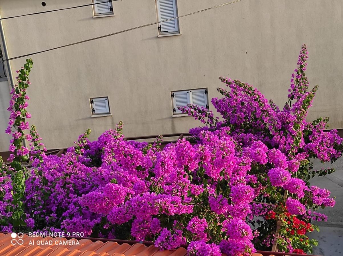 Apartments Iva 파코스탄 외부 사진