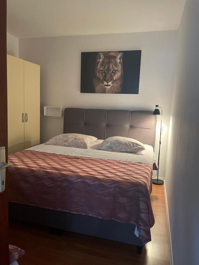 Apartments Iva 파코스탄 외부 사진
